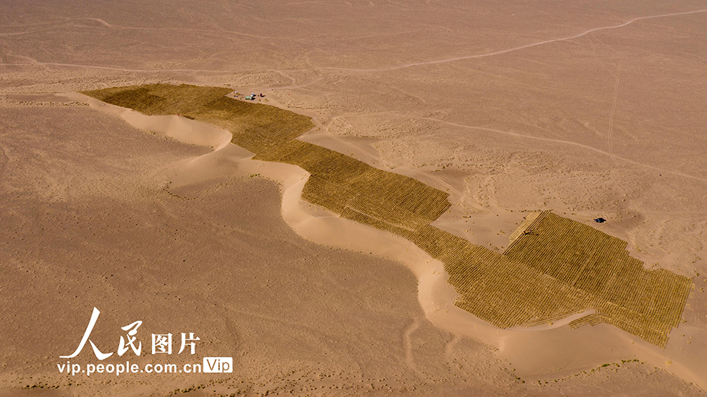 810ڸԭ̎ĸCʡȪа_οhȵBɽҹ@ɳˆTõ_չɳɳֲ˻صĲԭMвݷɳ߿ոOĲݷɳϳɞĮϵһnLo˙CƬ