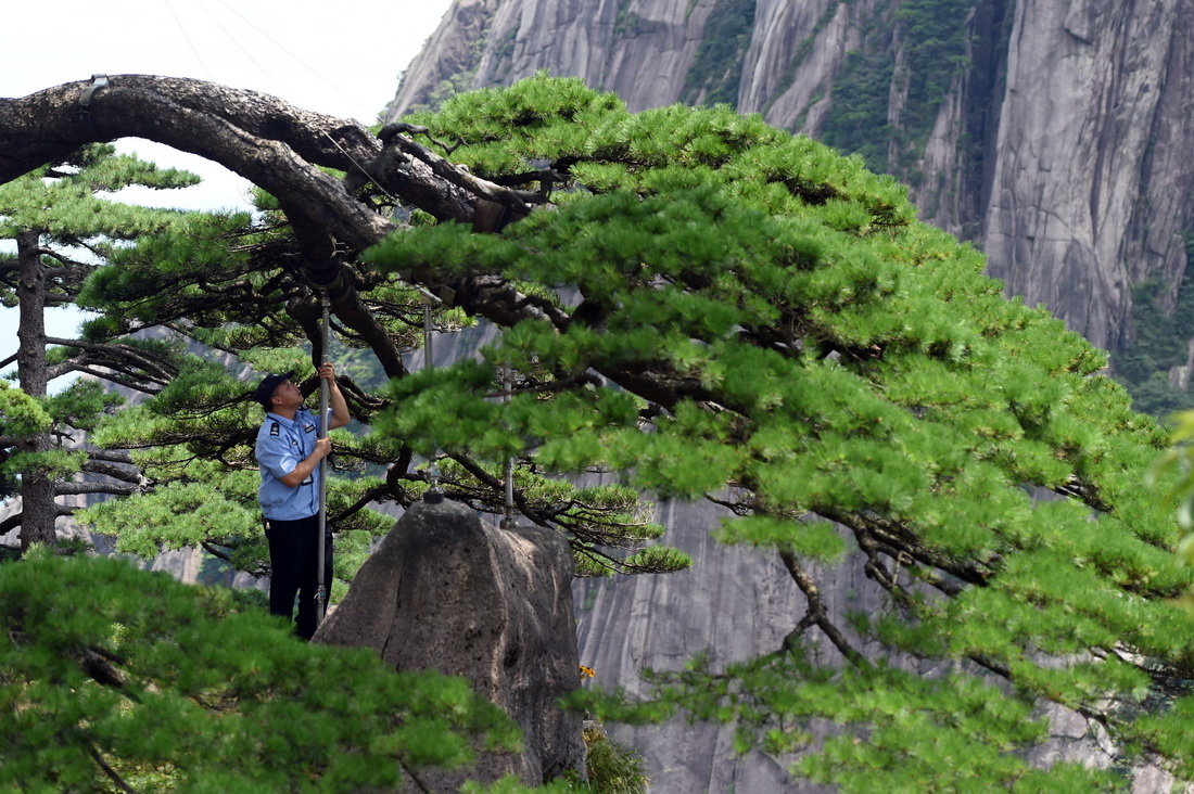 814Դӭɵ֧ΗUMЙzAӛ  z