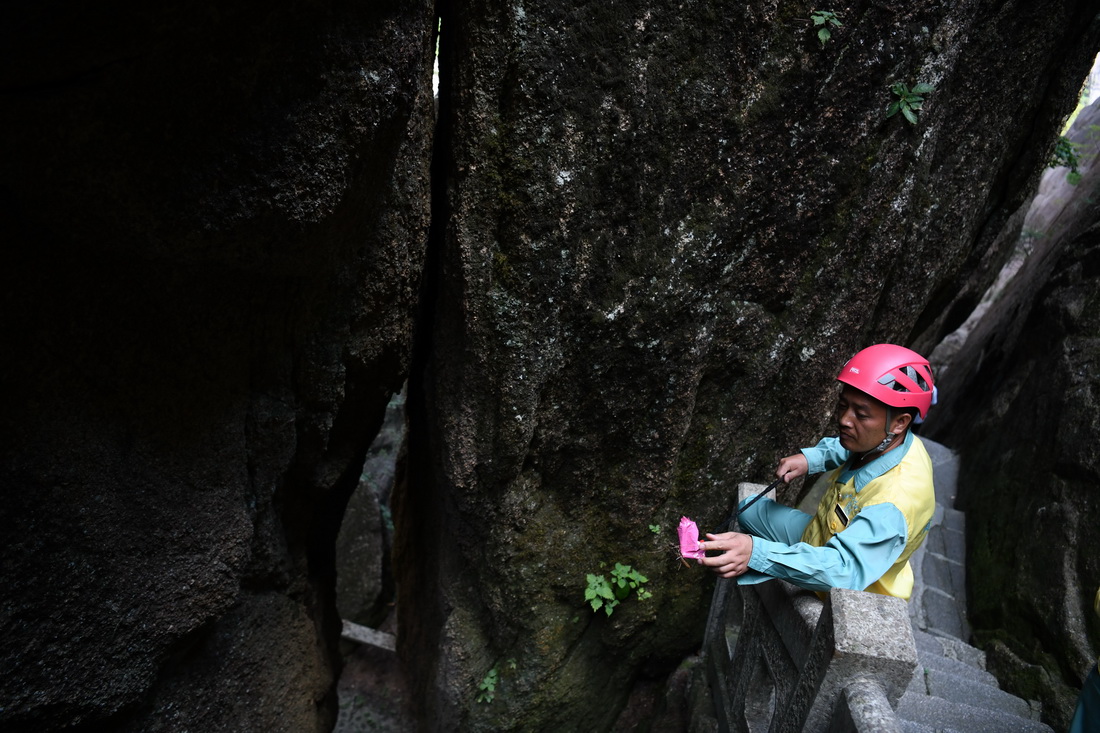 814SɽL^Aӛ  z