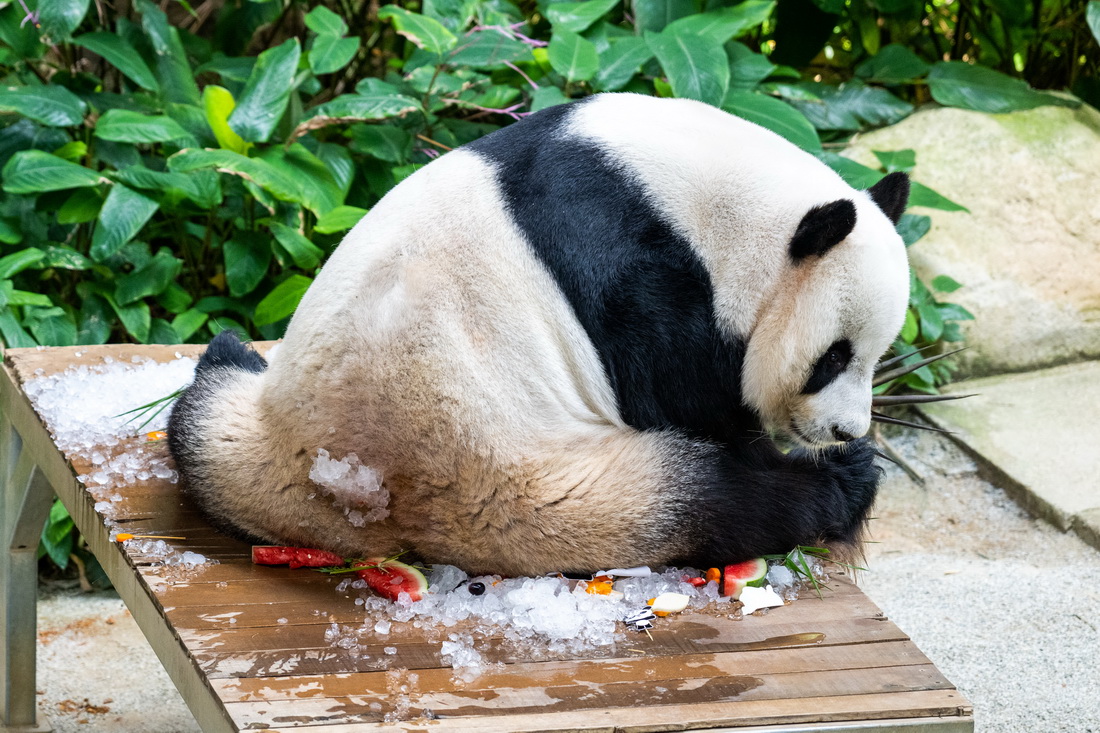 823R¡¸R҄@؈ddմ