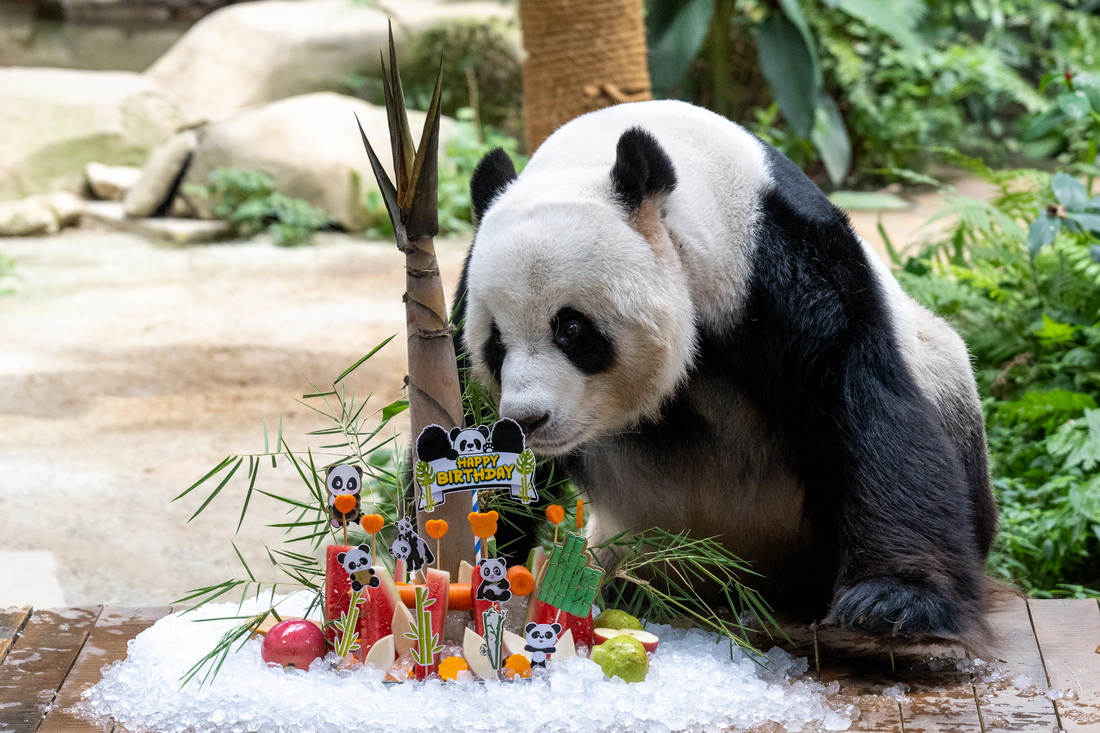 823R¡¸R҄@؈ddմ