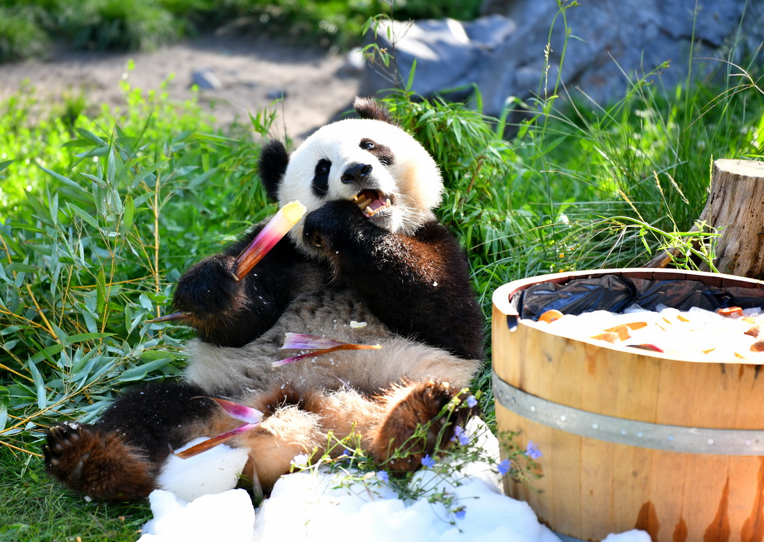 831ڵք@؈롱áͰ