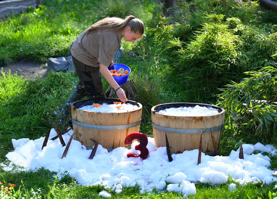 831ڵք@ˆT؈p̥롱͡Aʂ䡰Ͱ