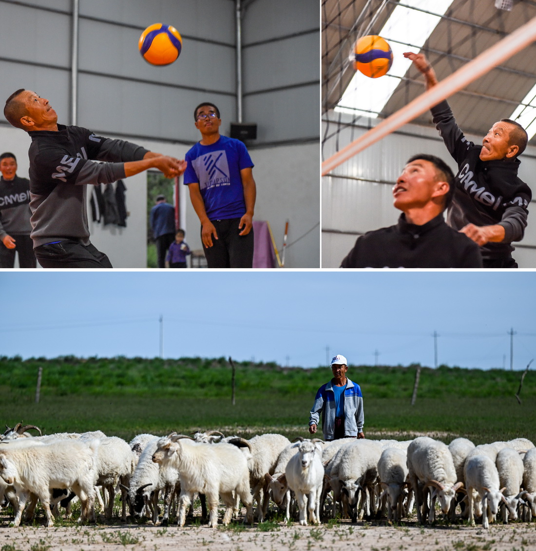 830D^ȴAӛ Դ z831DڷAӛ B z