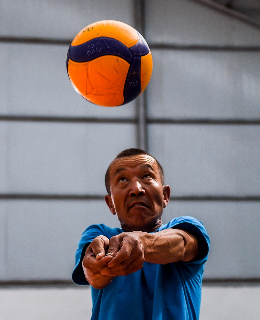 831D^ӖAӛ Դ z