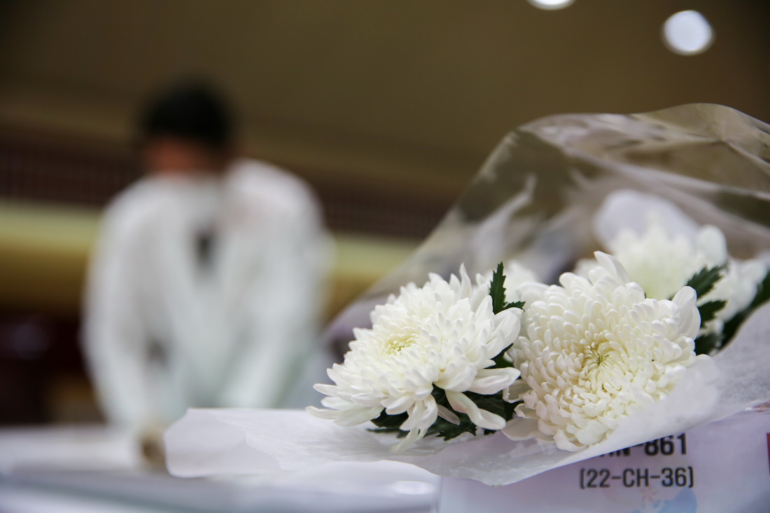 915nʴnˆT־Ը܊ʿz뚚