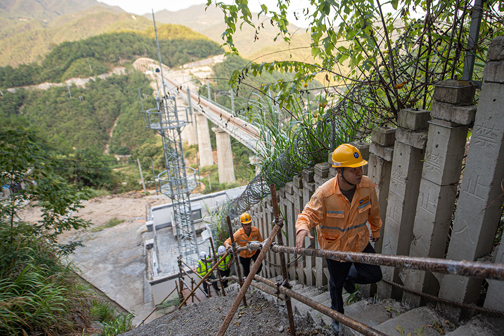 919؆T̽VһcwҶӰʵɽѲ