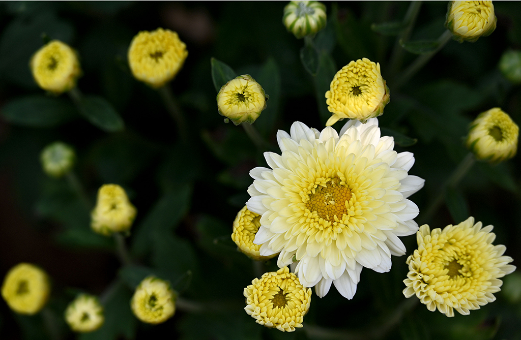 ںӱʡзV^ʹҦfĔzľջ915ՔzAlȺӢ z