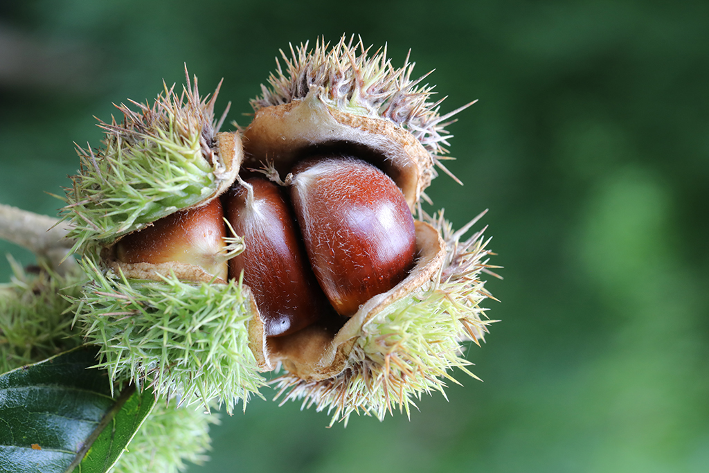 v_ʯ悹ƽĔzĳİ912ՔzAl z