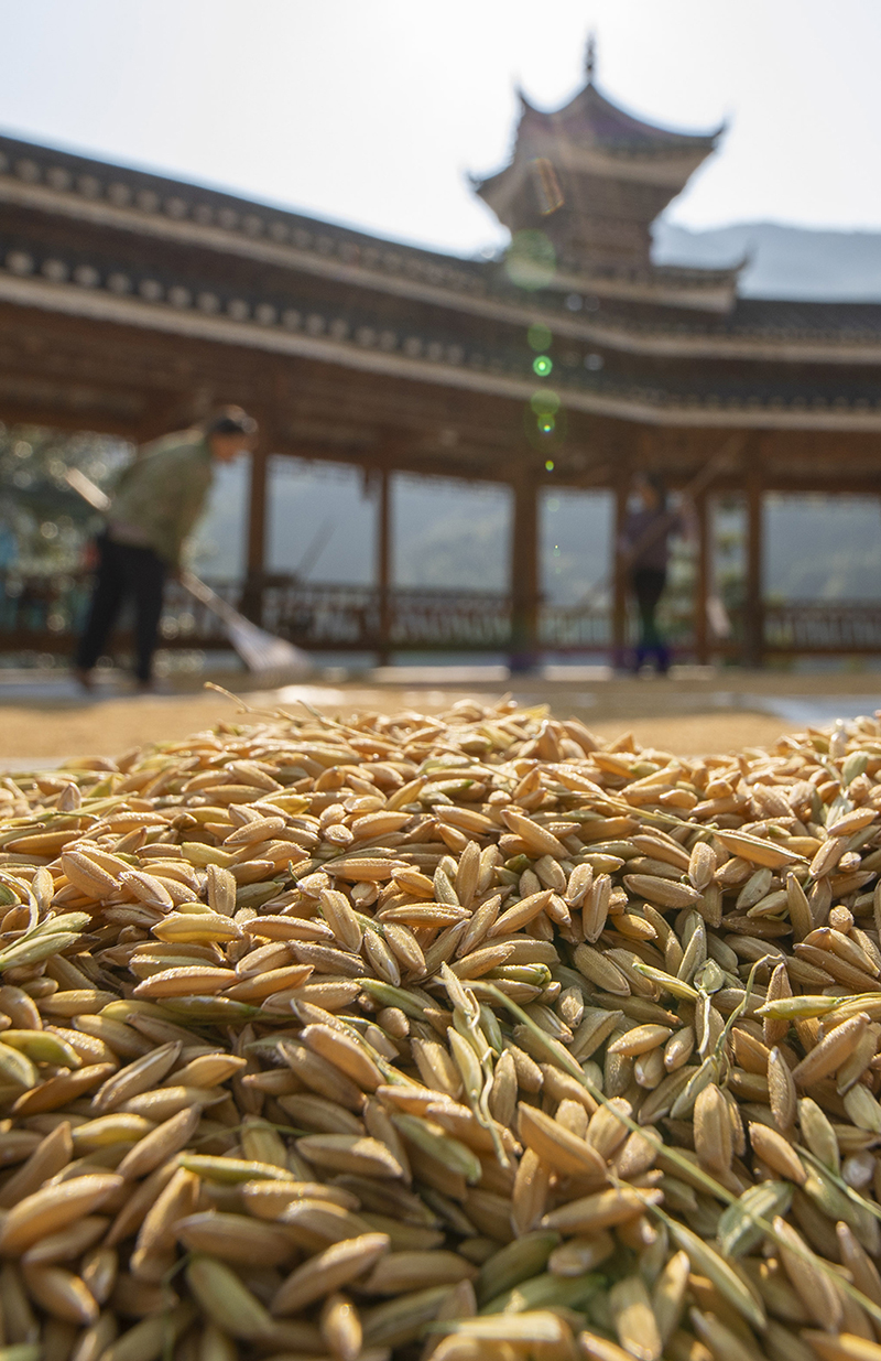 FʡĽh߅l߅񵾹ȣ918ՔzAl_ z