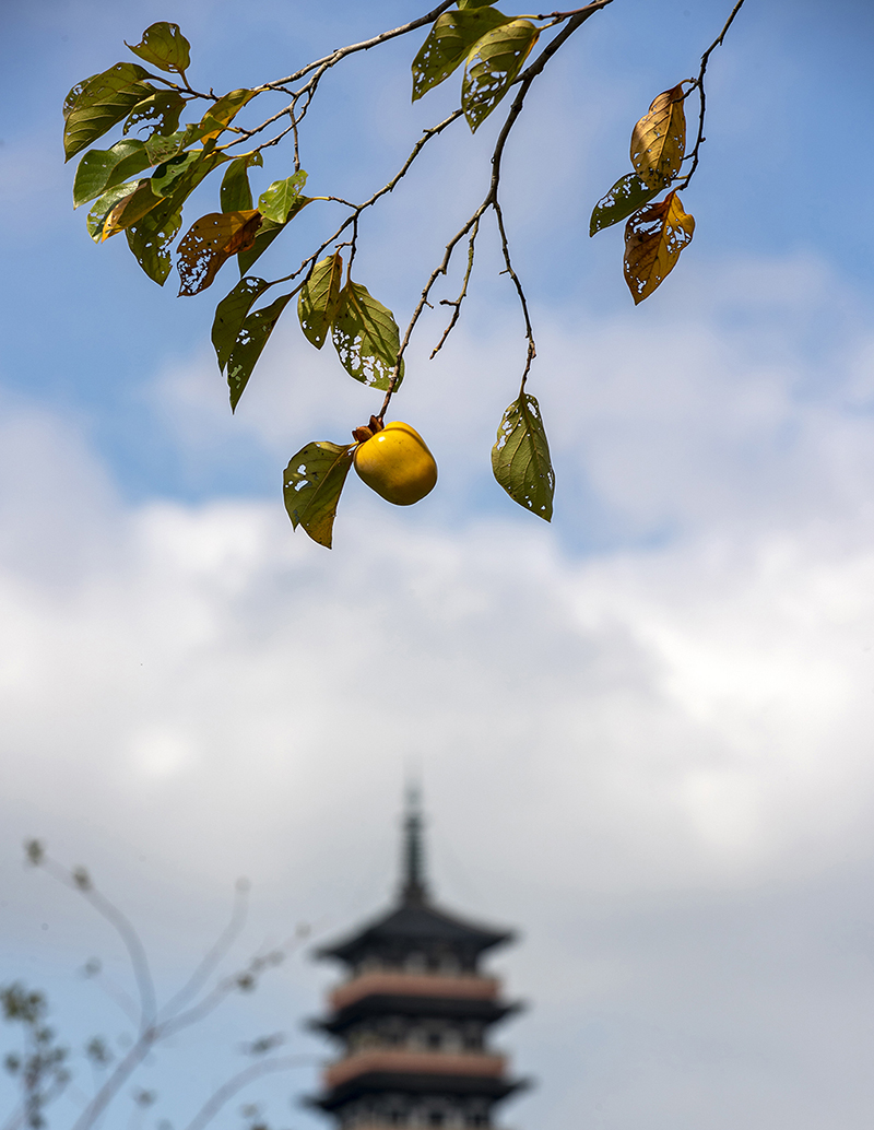 KʡPL^c`ӳȤ918ՔzAlRV z