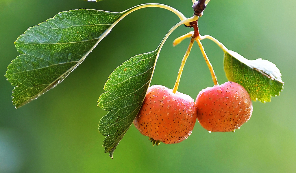 ɽ|ʡrNֲɽ髼tˣ917ՔzAl־܊ z