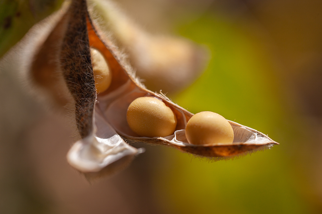 ɽ|ʡͲиhĔzĳĴ󶹣919ՔzAlS z