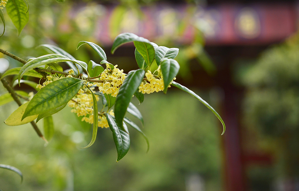 FʡȪpȴʢ_913ՔzAlFA z