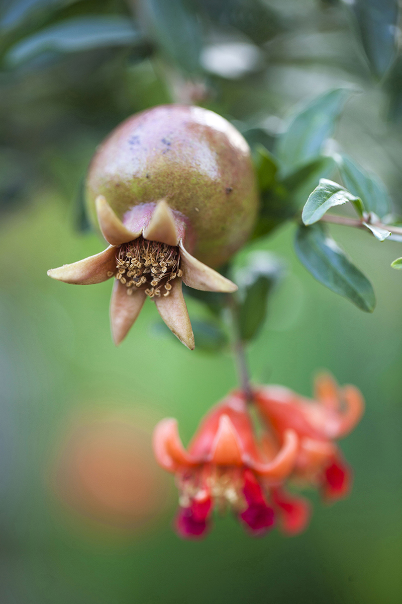 ڽKʡϾĔzʯ912ՔzAlO z