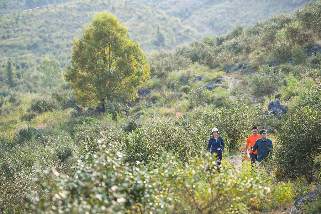 921ڏV|P÷ɽ䣨󣩺͎lңͬʯĮCͲNֲز鿴ͲLr