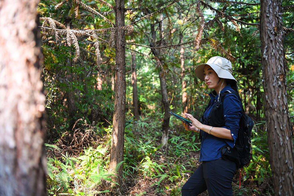 922λڏV|PЏϪBOyӵع