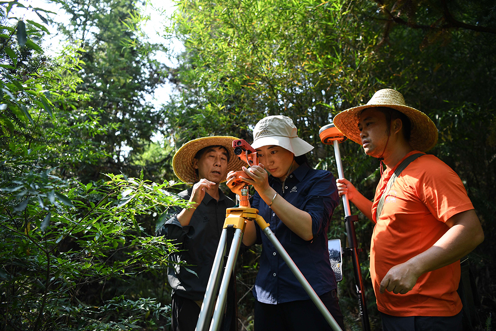 922ڏV|PЏϪBOyӵ䣨У͎lͬڲO