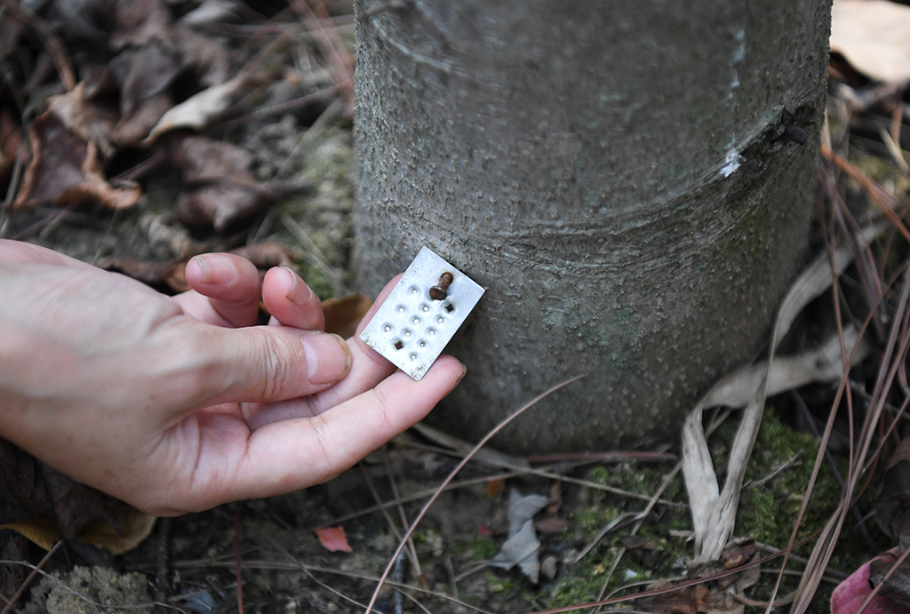 921ڏV|Pˮ悴_XʯĮB֏ͱOyƽ_̶ӵز鿴ľ