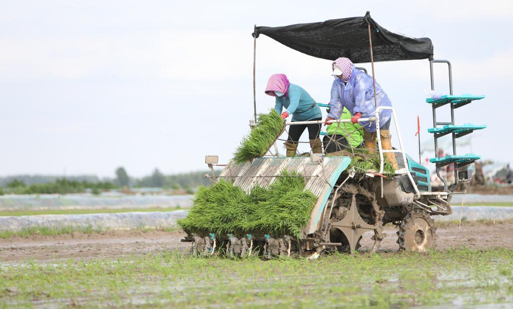 hӴĴڵæµ2022613ՔzAӛ ҽ z