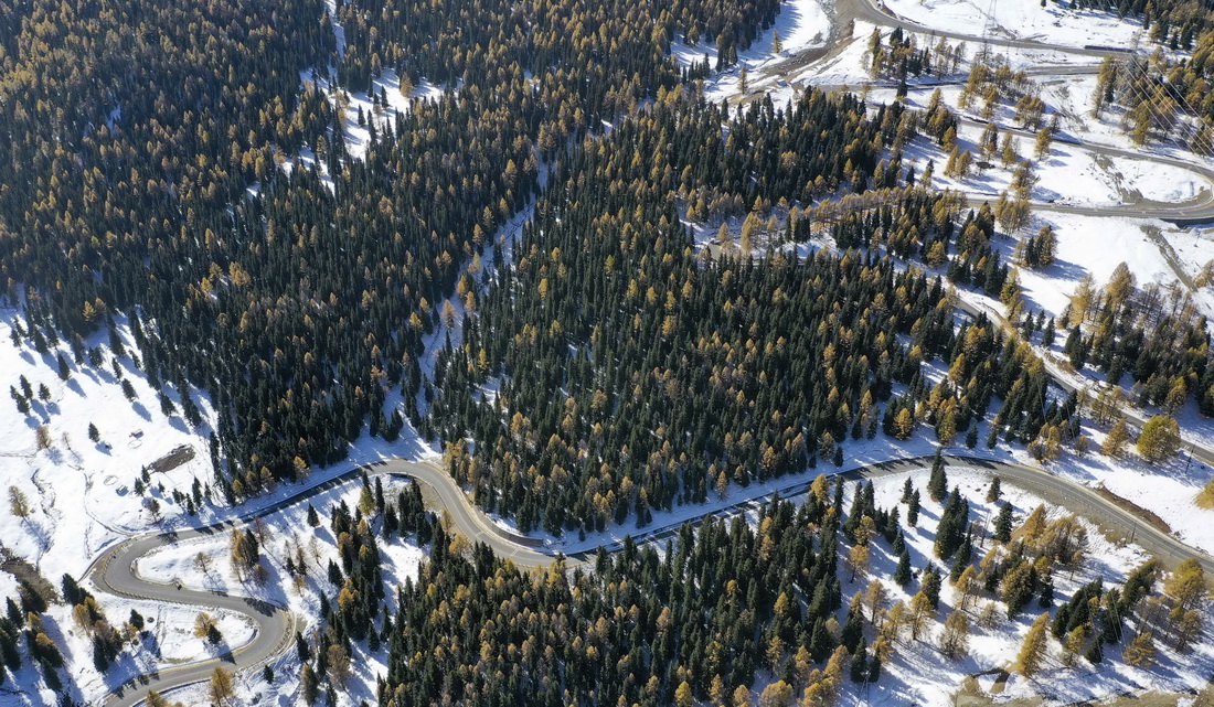 B½Ѕ^c_οhĹ·Խ|ɽ2022104Քzo˙CƬAlT z