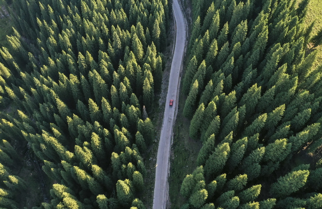 ο{܇ǰ½ؿ˹h_lʲ_棨2019813Քzo˙CƬAӛ  z