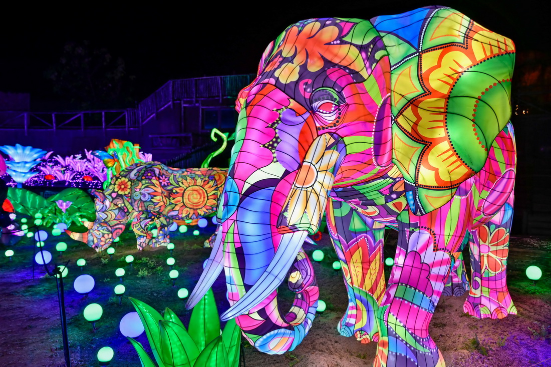 @115ڷȾS@չĔzğb