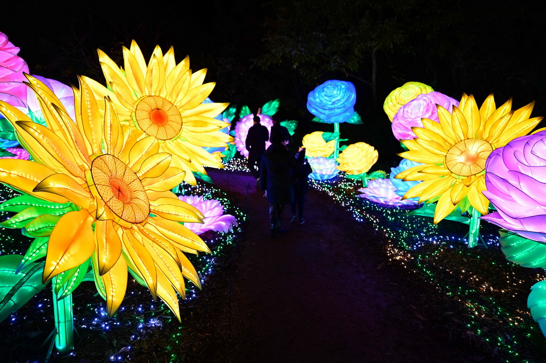 115οڷȾS@ekğչυ^