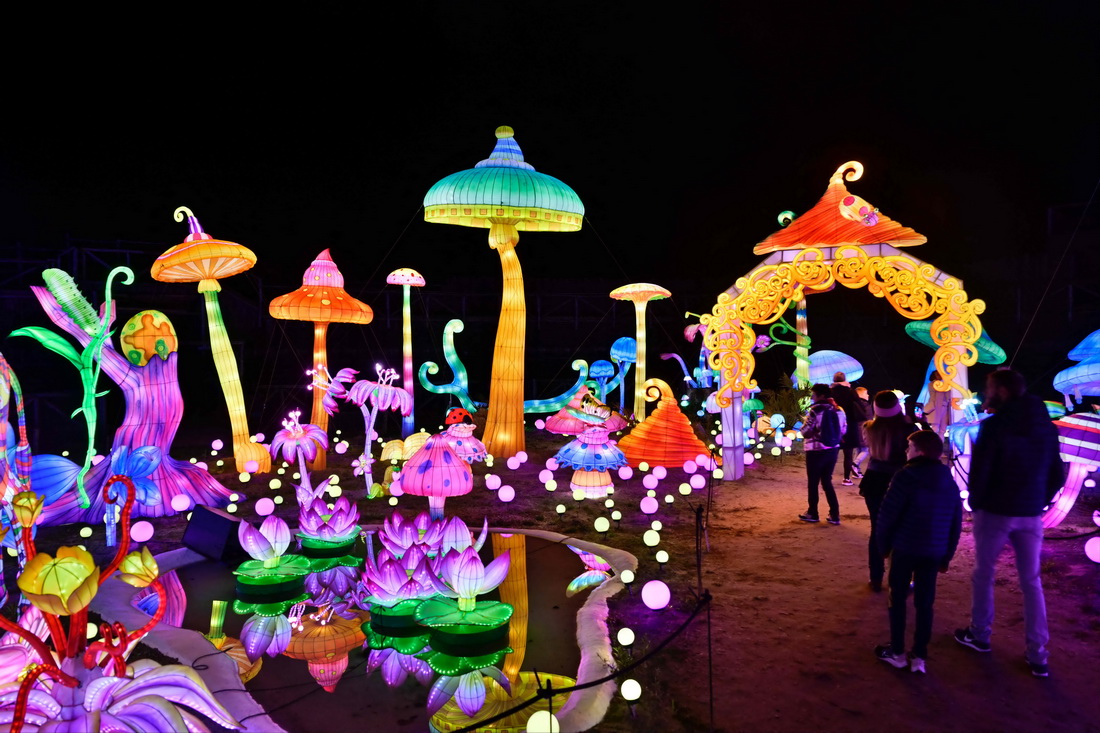 115οڷȾS@ekğչυ^