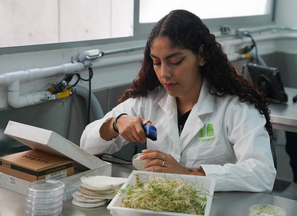 117һλоˆTī˹ƿƽHС