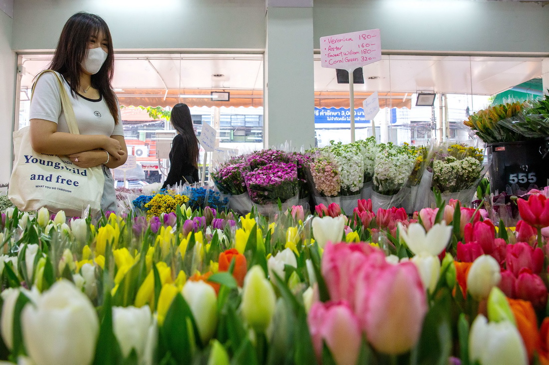 221̩rЈxϵr