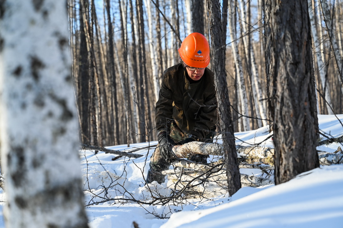 223ֈ402ʯօ^I