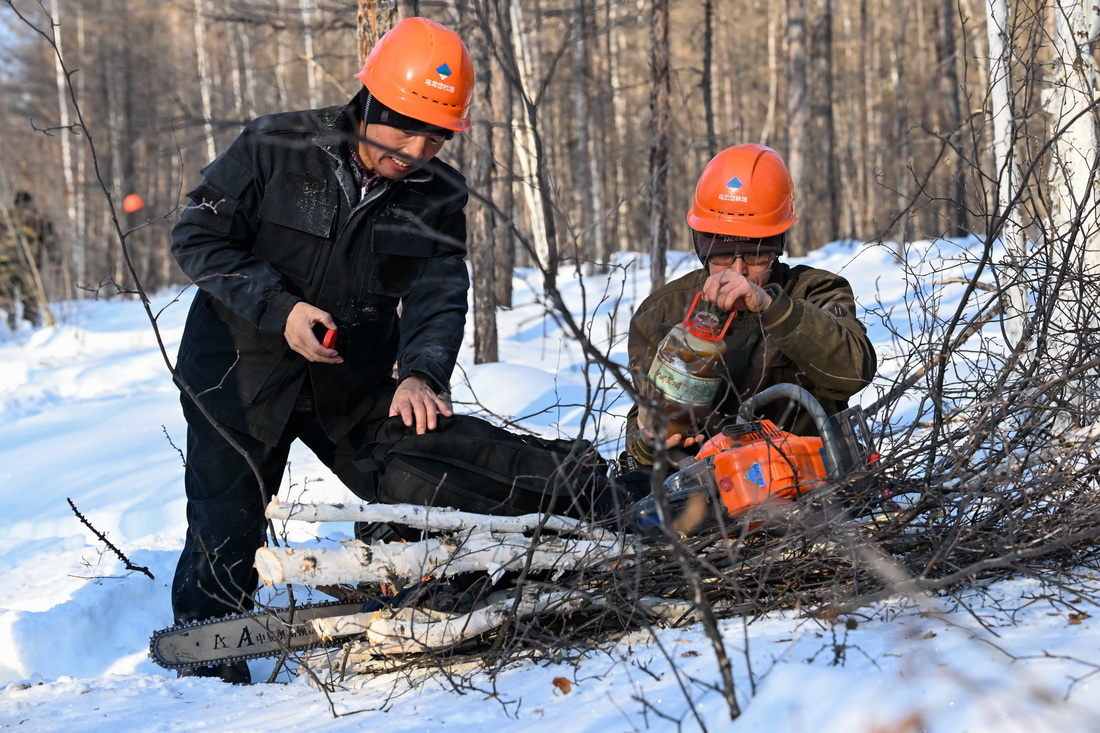 223ֈ402꠵o䏼͜ʂI