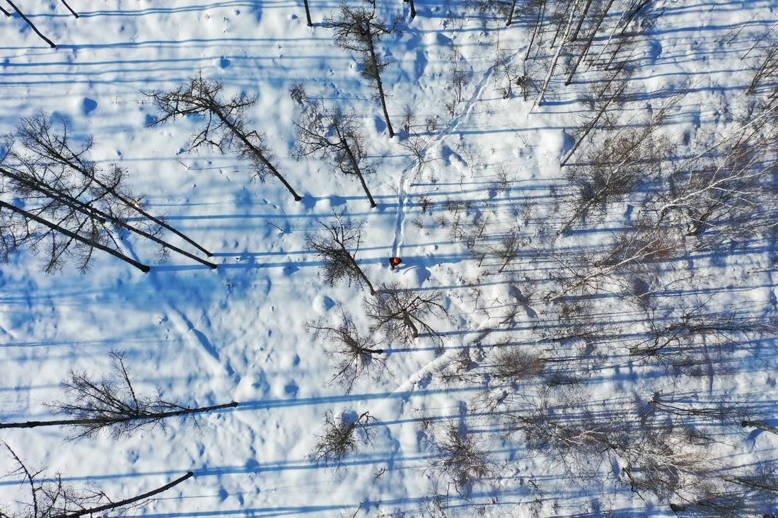 222ֈօ^MоCϓo˙CƬ