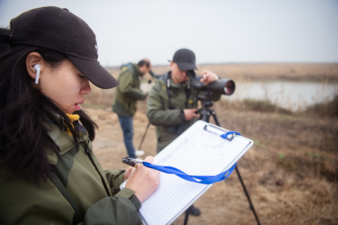 T׿ӛBOy216Քz