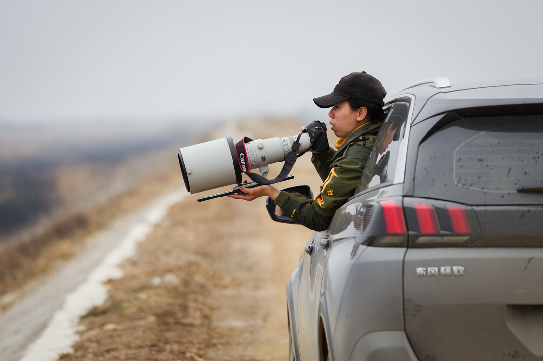 T׿̽܇ĔzB216Քz