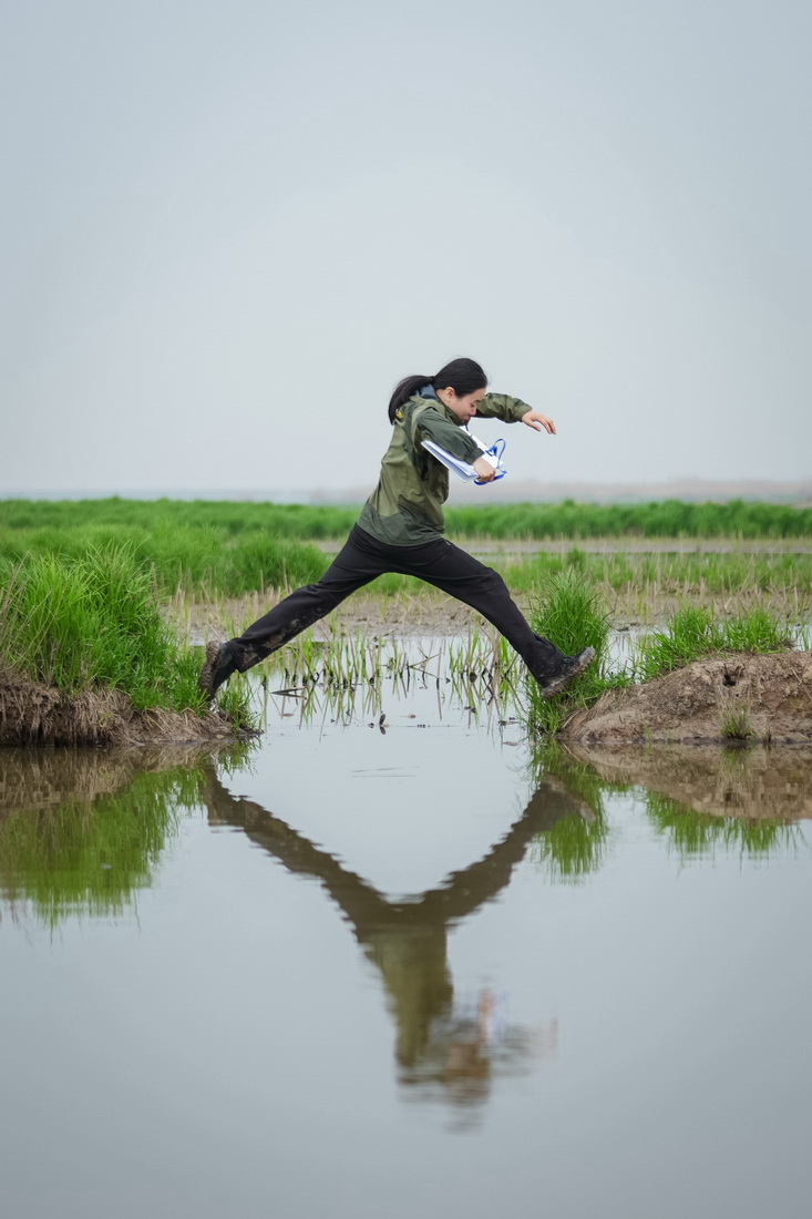 37T׿MBOy;п^һˮ