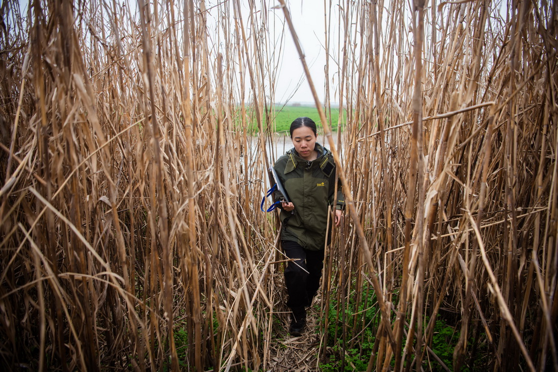 T׿BOy;У37Քz