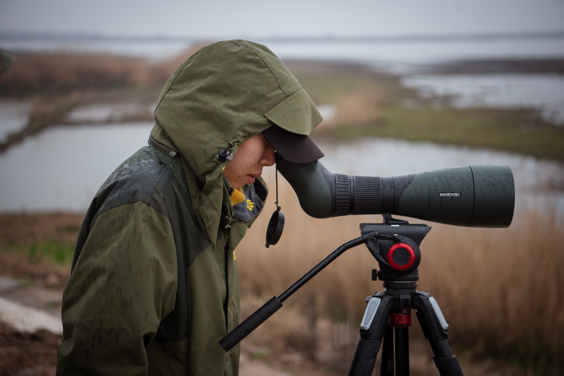 T׿ʹÆͲhR^yB216Քz