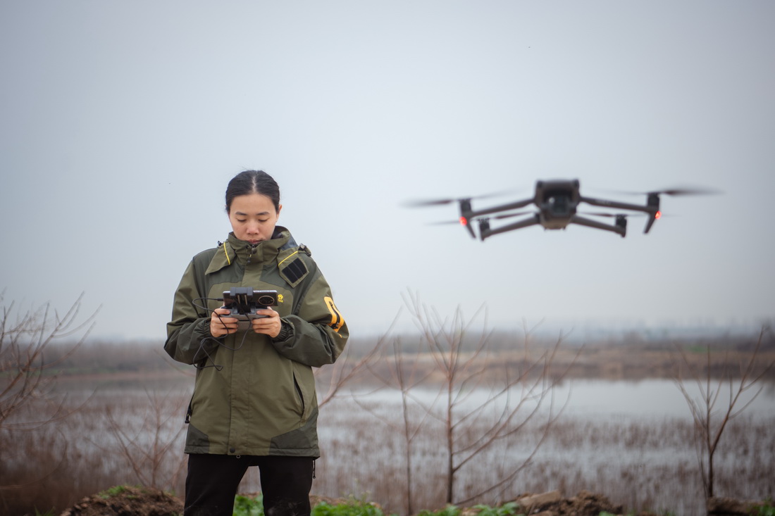 37T׿ʹßo˙CĔzӛ䛳̦Lr