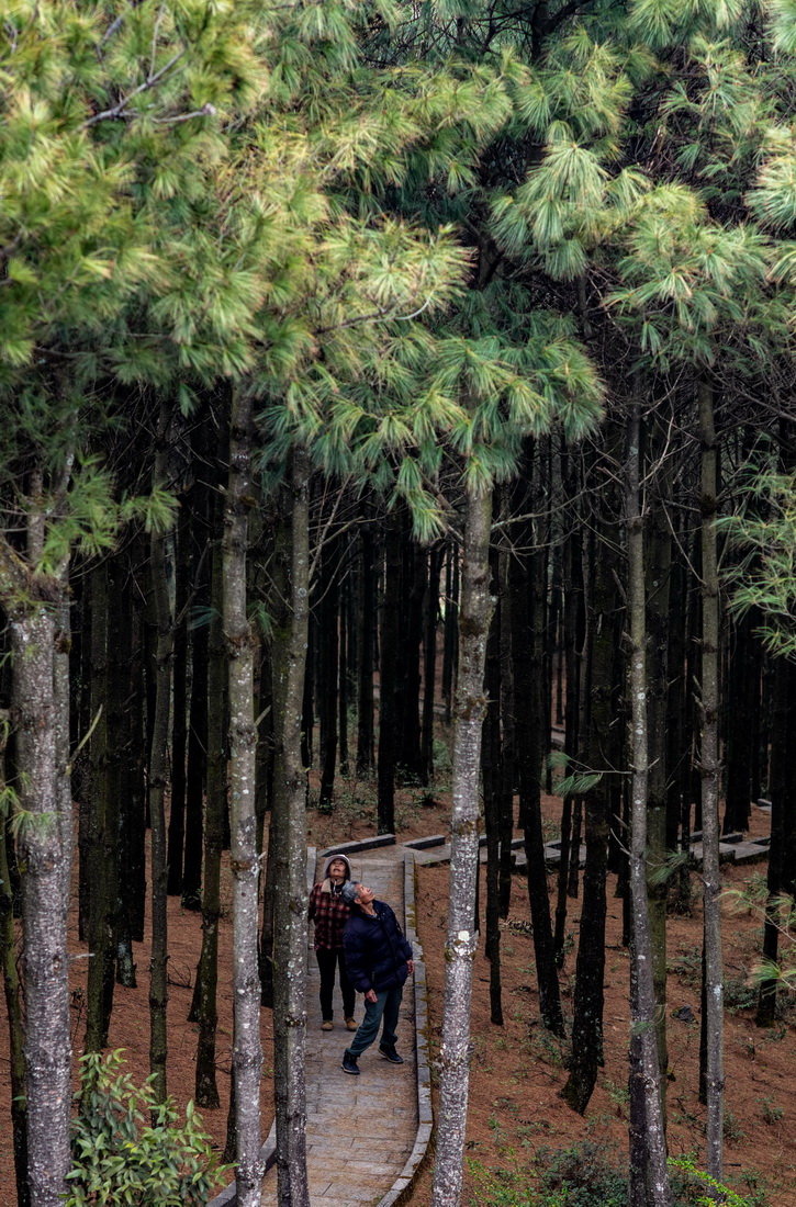 312oֆTʯFcɽgС·ǰt_Aӛ ҫ z