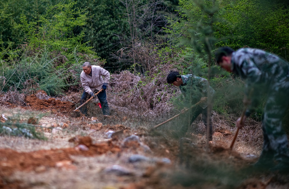 312ʡhlĸɲȺڻľɽֈֲAӛ ҫ z