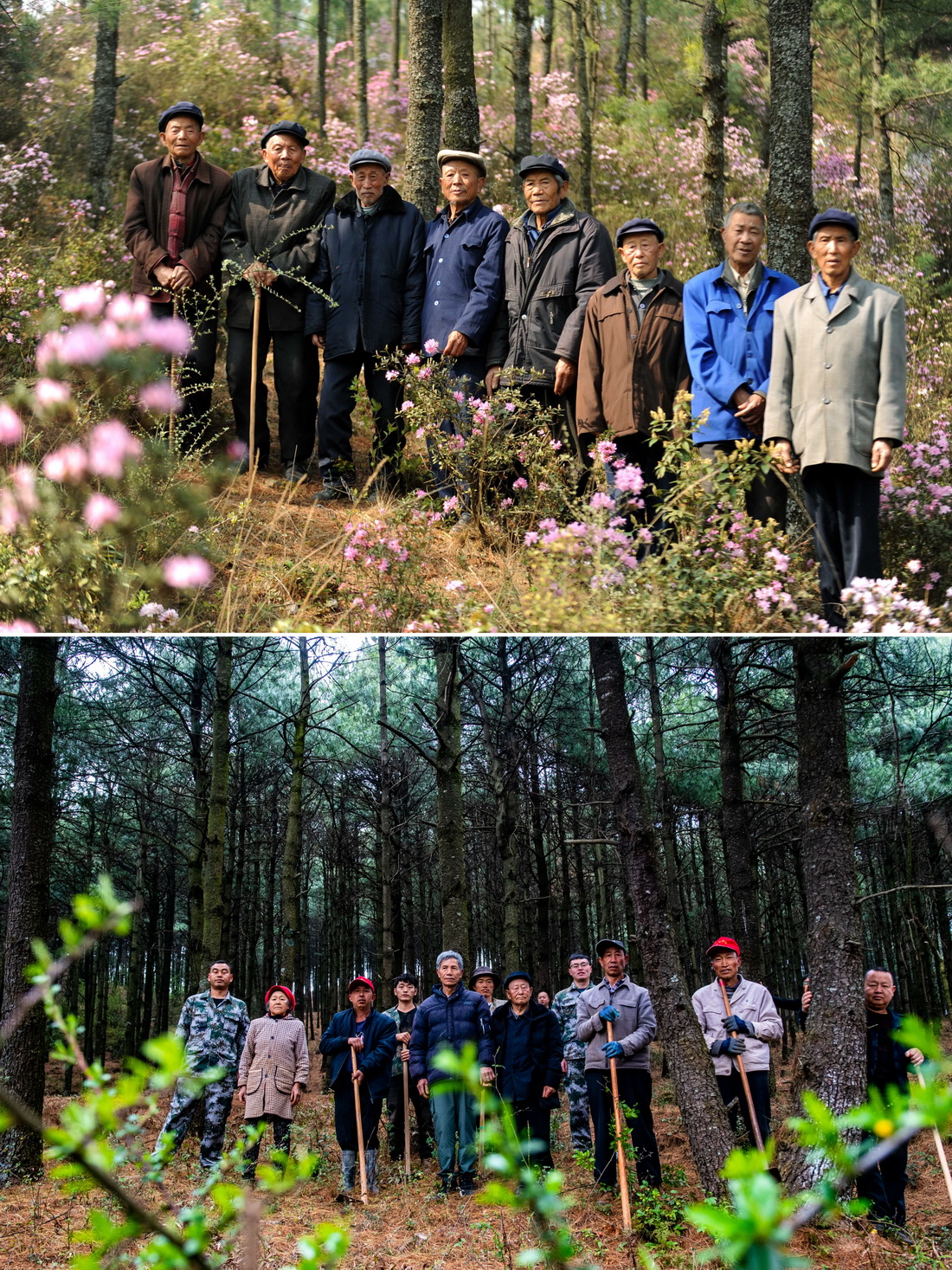 @һƴƬψD飺ϡڻľɽֈӰҷքeƷ҉ҵ_LСӳ2012329AӛzD飺ϡ֮һLߣǰֲĸɲȺӰ2023312Aӛ߽ҫz