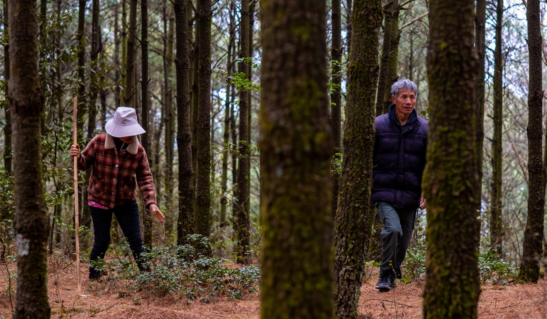 312oֆTʯFcһɽgѲAӛ ҫ z