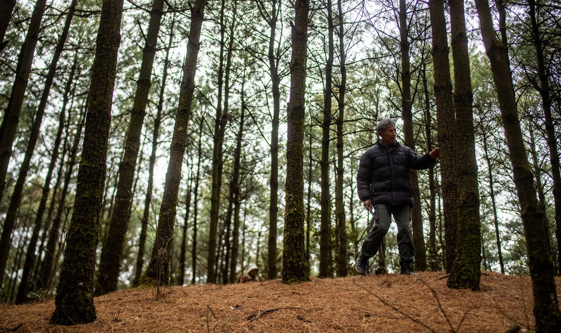 312oֆTʯFɽgѲAӛ ҫ z