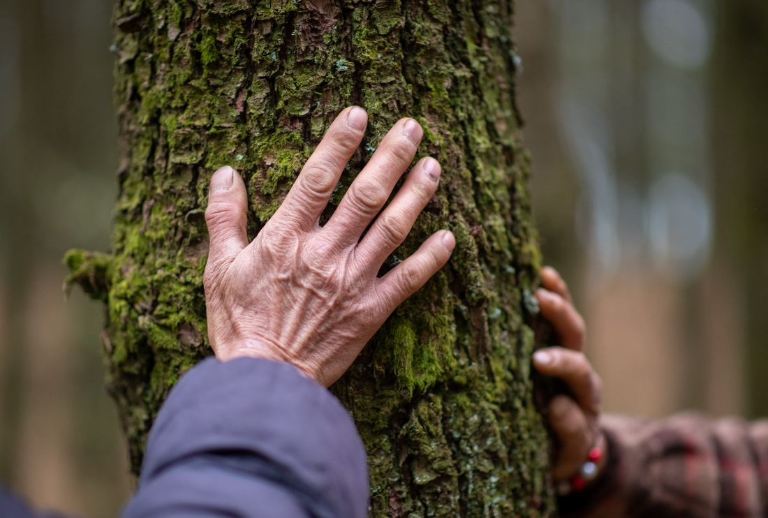 312oֆTʯFcһɽg鿴ľLrAӛ ҫ z