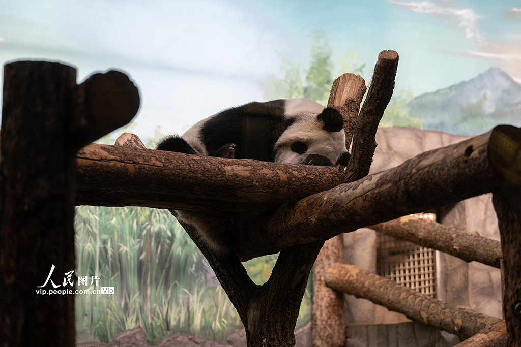 Ī˹Ƅ@^p؈⡱͡οͽj[^6