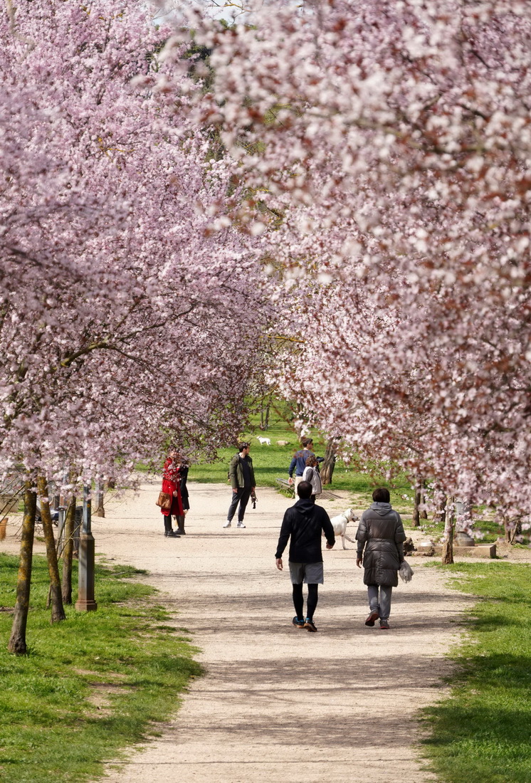 318˂_Rİ_@eAӛ R z