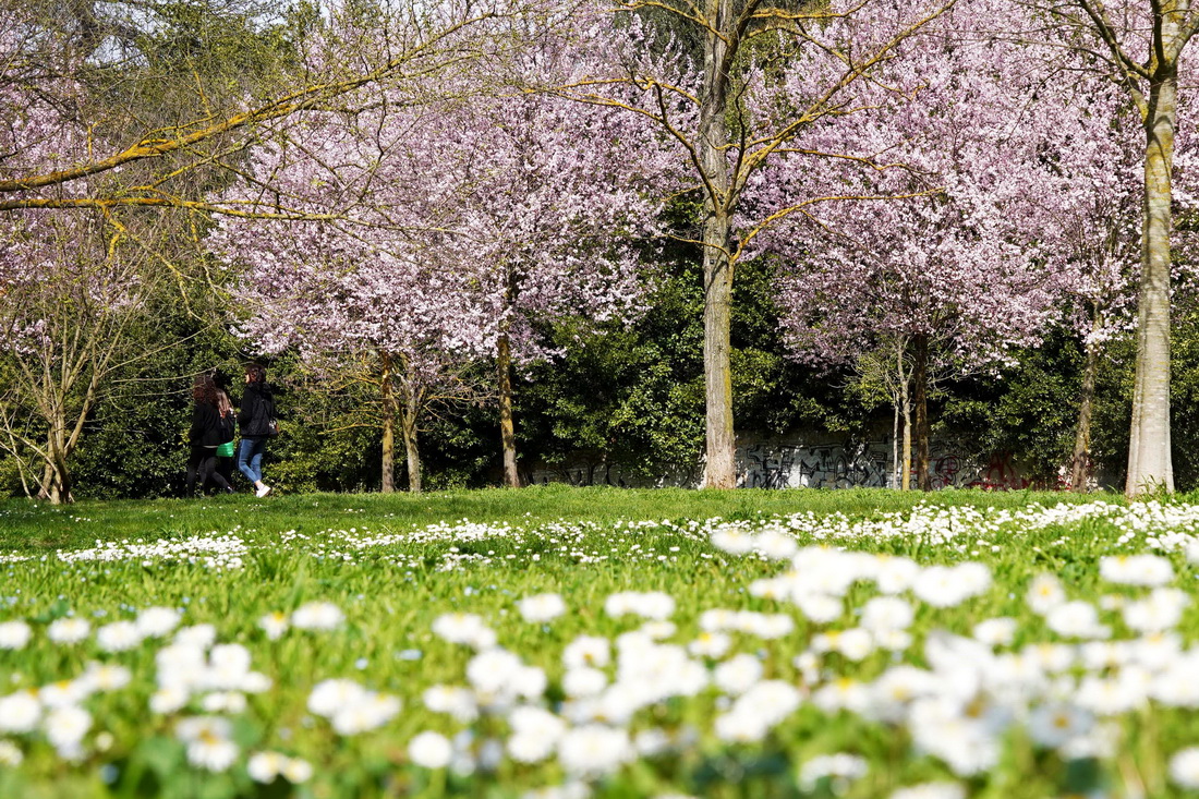 318˂_Rİ_@eAӛ R z