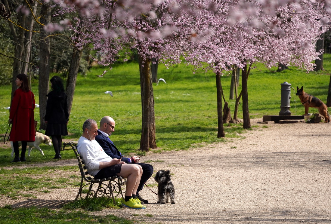 318˂_Rİ_@eAӛ R z